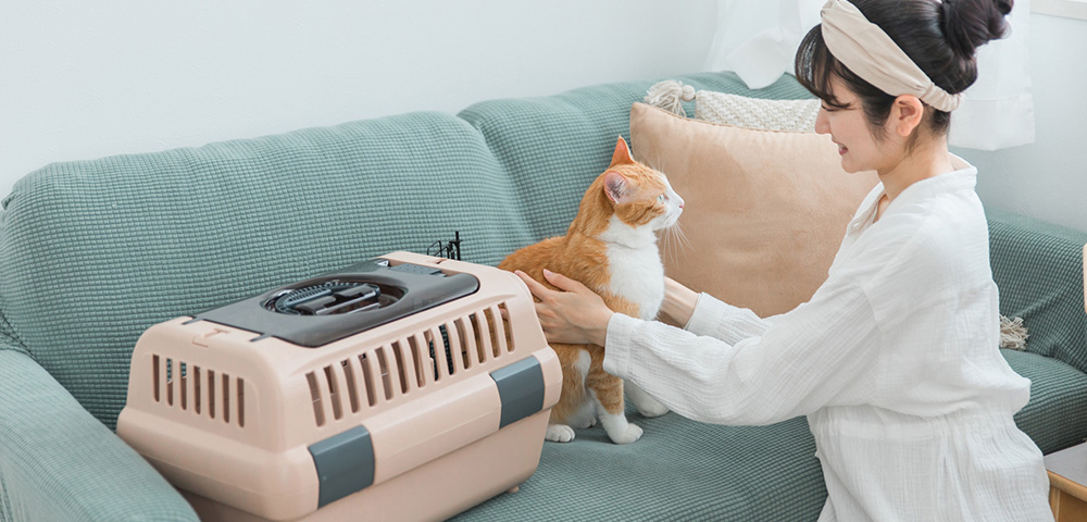 第2回 猫のワクチンについて